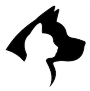 linguaggio canino e felino