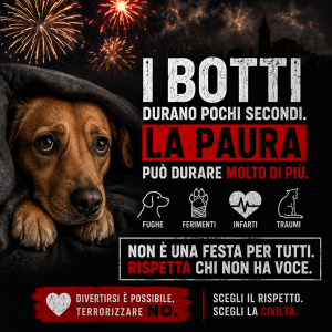 Cane impaurito dai botti e dai fuochi d'artificio